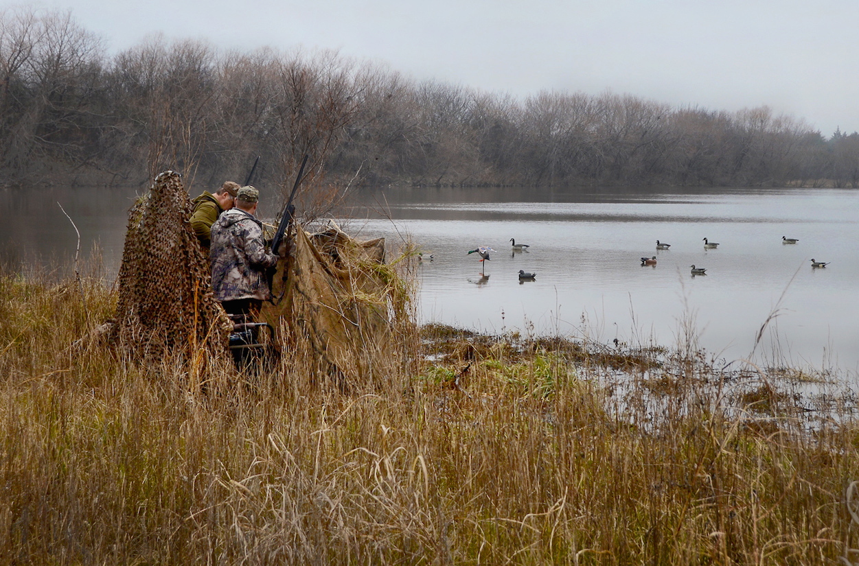 Teal, Resident Canada Goose Seasons Give Waterfowlers Some Early Shots